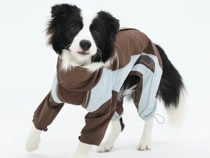 Multi-Functional Waterproof Windproof Dog Windbreaker Coat for Medium & Large Dogs