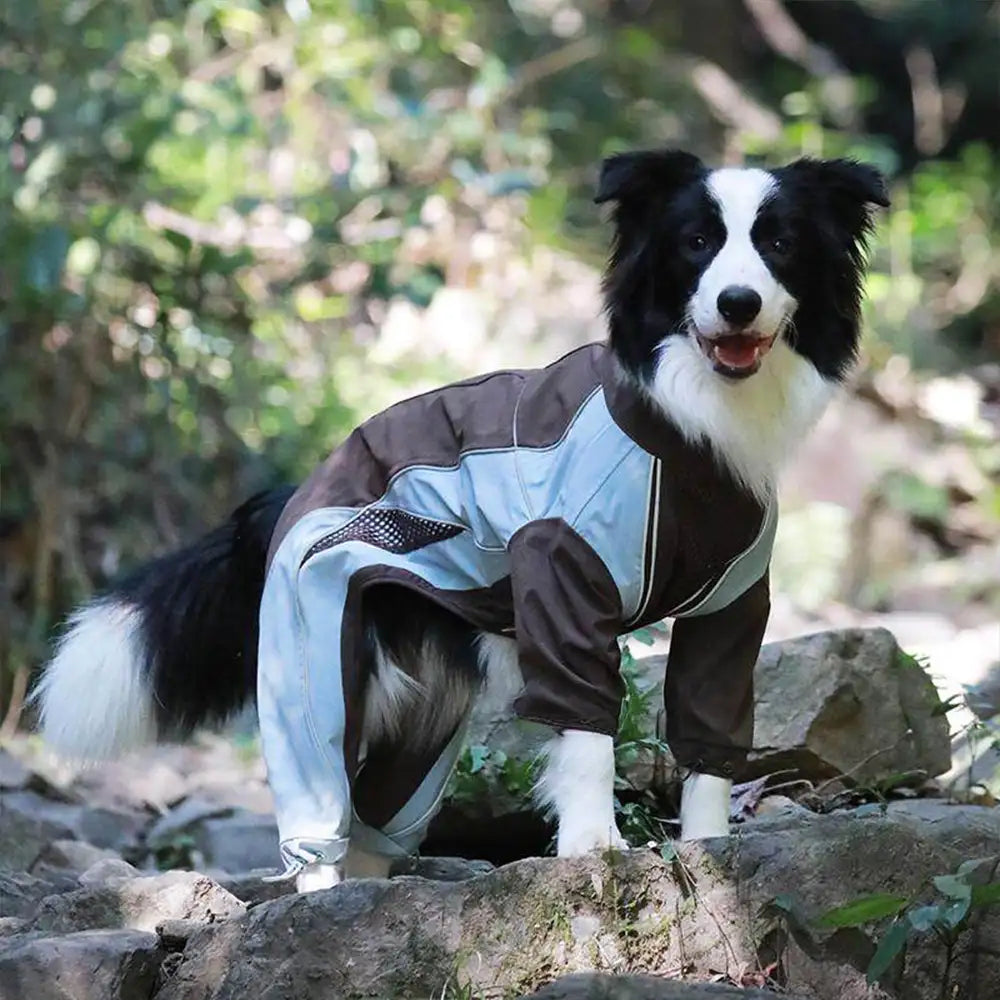 Multi-Functional Waterproof Windproof Dog Windbreaker Coat for Medium & Large Dogs - Image 4