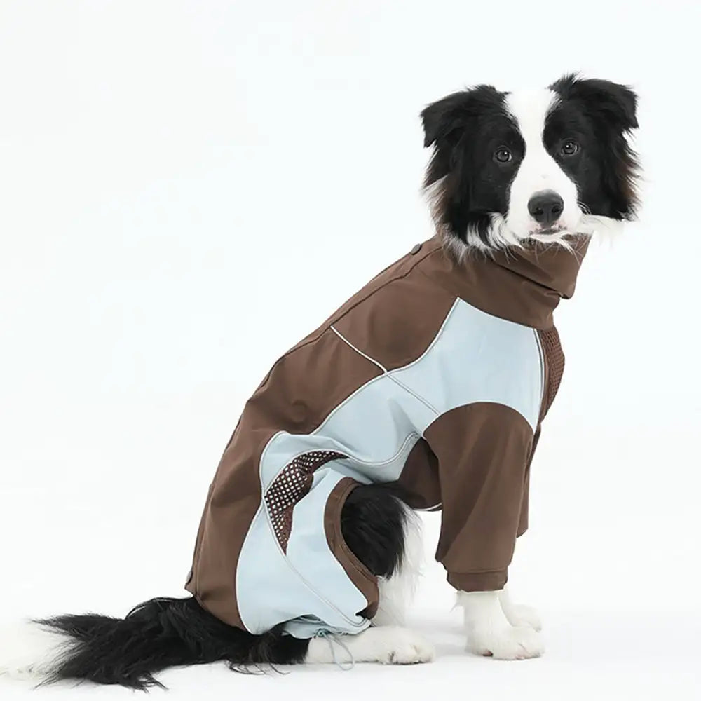 Multi-Functional Waterproof Windproof Dog Windbreaker Coat for Medium & Large Dogs - Image 2
