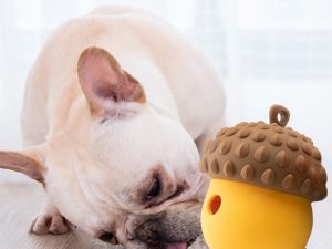 Pinecone Shape Interactive Leaking Food Ball Slow Feeder Dog Toy