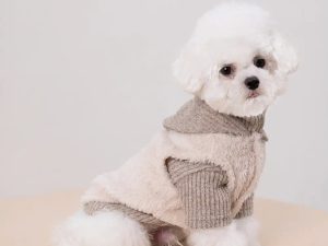 Plush Coat & Matching Turtleneck Sweater Two-Piece Dog Outfit Set