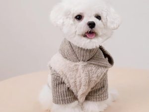 FunnyFuzzyPlushCoat_MatchingTurtleneckSweaterTwo-PieceDogOutfitSet-7.jpg