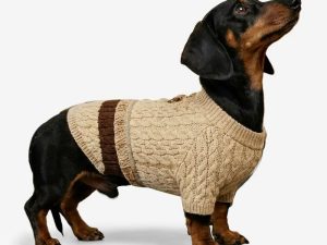 Retro Cable Knit Dachshund And Small To Medium-Sized Dog Sweater