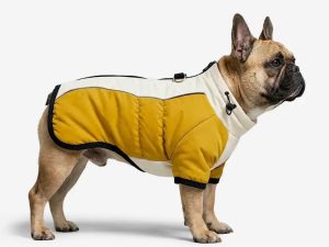 Retro Color-Block Fleece-Lined Warm Dog Coat with Leash Buckle
