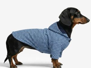 Stylish Dual-Sided Reversible Wear Windproof Outdoor Dog Jacket