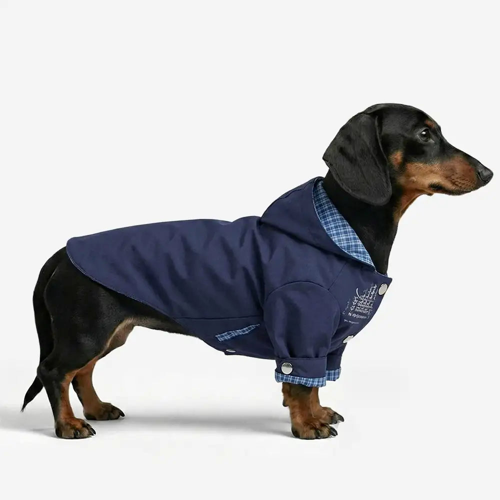 Stylish Dual-Sided Reversible Wear Windproof Outdoor Dog Jacket - Image 2