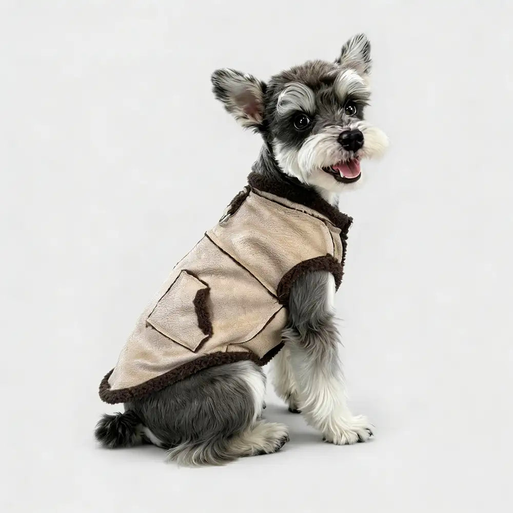 Retro Suede Dog Vest For Small Dogs - Image 2