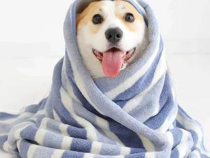 FunnyFuzzy_Striped_Absorbent_Drying_Thickened_Soft_Dog_Cat_Bath_Towel_-1.jpg