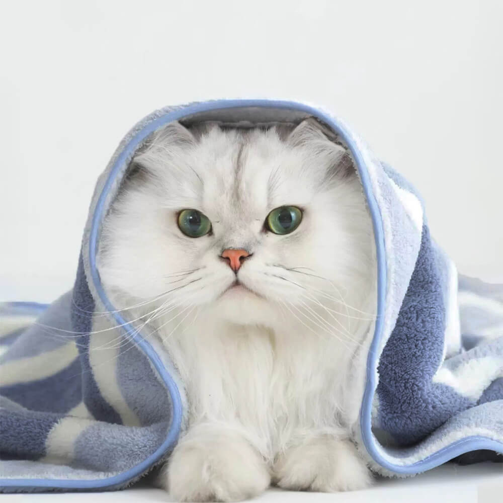 Striped Absorbent Drying Thickened Soft Dog & Cat Bath Towel - Image 4