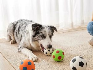 Funny High Elasticity Floating Football Dog Toy