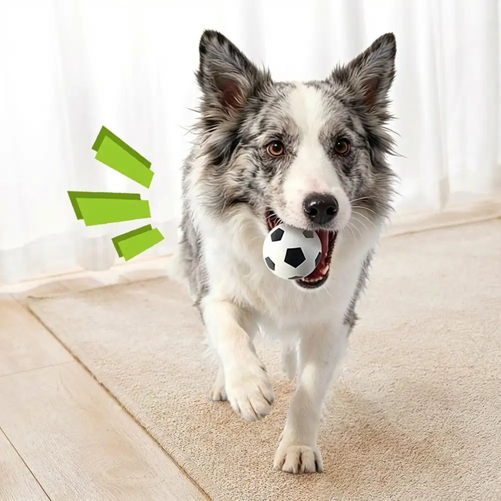 Funny High Elasticity Floating Football Dog Toy - Image 4