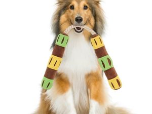 Funny Interactive Puzzle Treat Dispenser Squeaky Dog Toy