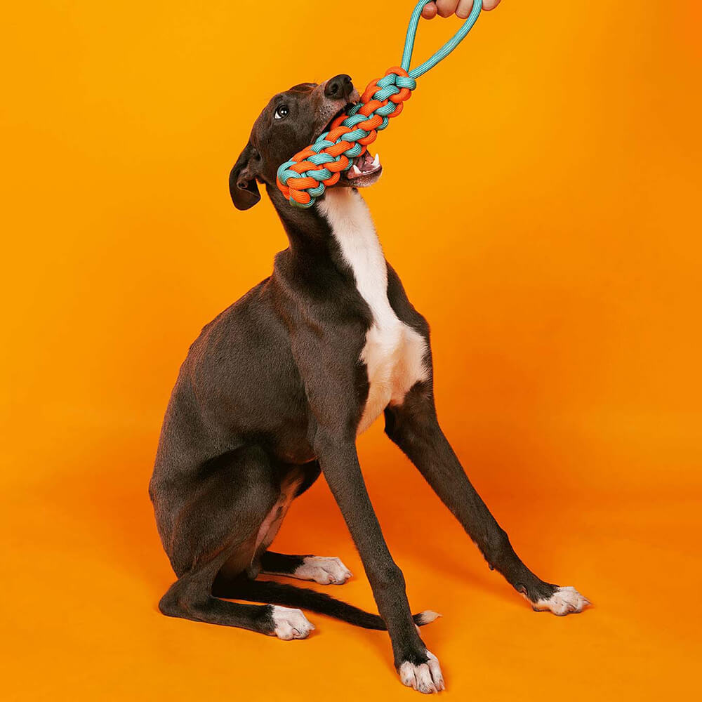 Knots Rope Dog Toy Set - Color Clash - Image 2
