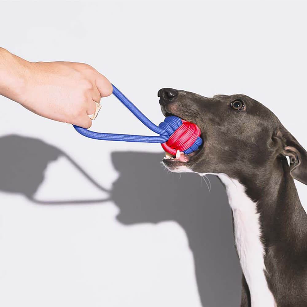 Knots Rope Dog Toy Set - Color Clash - Image 3