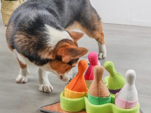 Interactive Bowling Puzzle Dog Treat Dispenser Toy