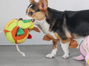 InteractivePuzzleSqueakyToyLeafBallDogTreatDispenserToy-_2.jpg