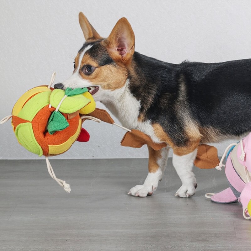 Interactive Puzzle Squeaky Toy Leaf Ball Dog Treat Dispenser Toy - Image 2