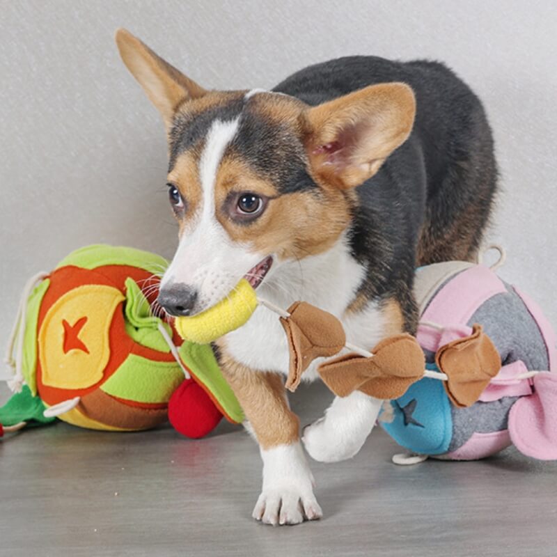 Interactive Puzzle Squeaky Toy Leaf Ball Dog Treat Dispenser Toy - Image 3