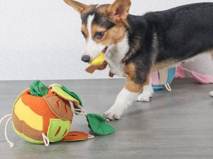 Interactive Puzzle Squeaky Toy Leaf Ball Dog Treat Dispenser Toy