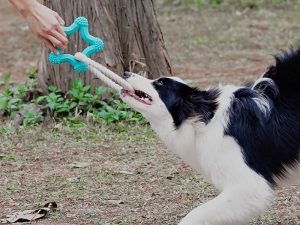 Interactive Tug-of-War Dog Toy Teeth Cleaning Rubber Chew Toy