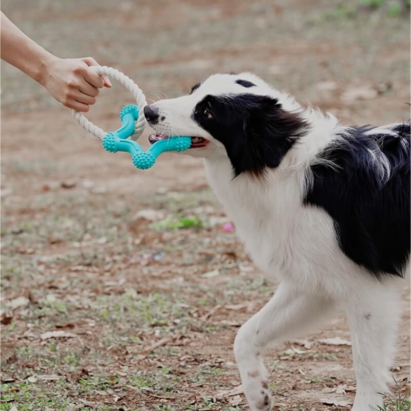 Interactive Tug-of-War Dog Toy Teeth Cleaning Rubber Chew Toy - Image 2