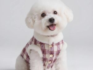 Plaid Fleece Pullover Dog Jacket - A Warm and Stylish Winter Jacket