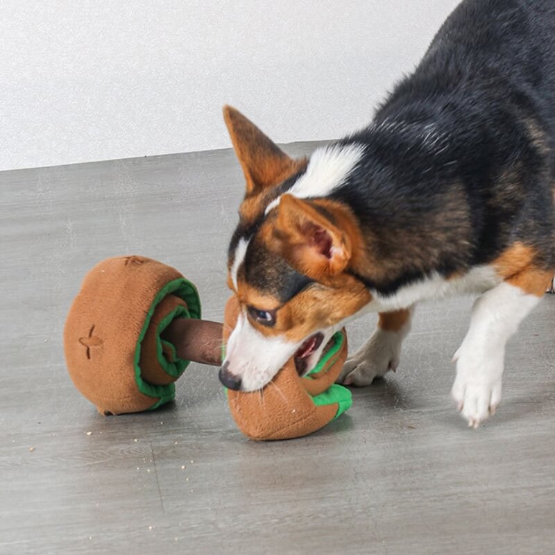 Puzzle Food Dispenser Interactive Dog Dumbbell Treat Toy - Image 3