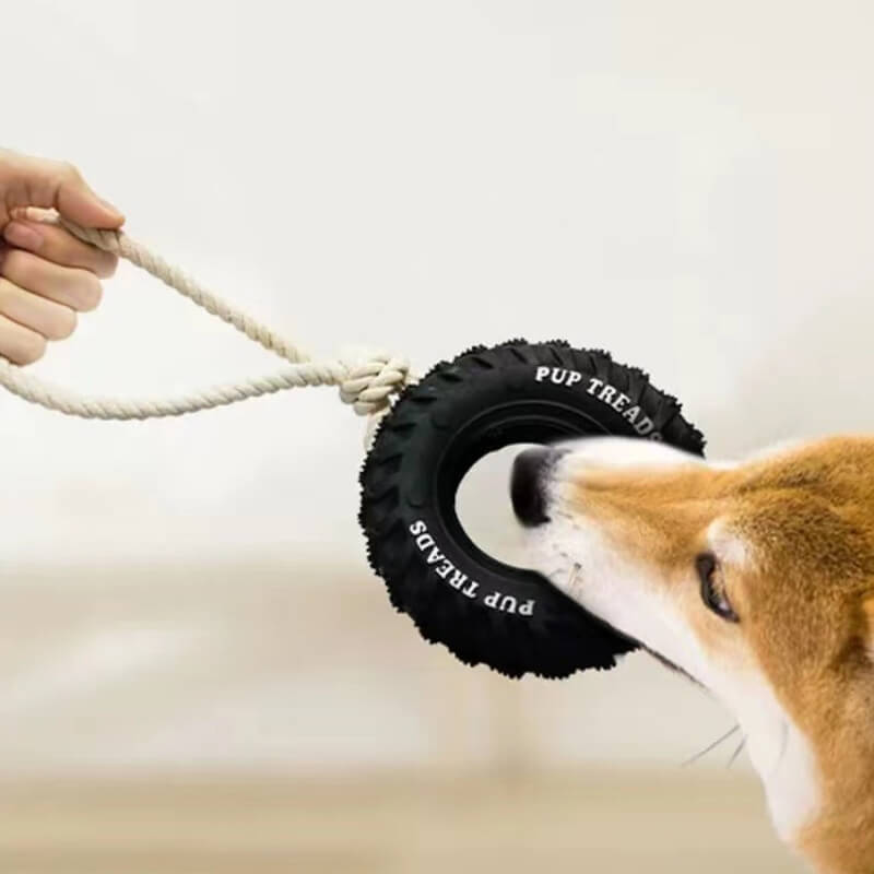 Rubber Tire Dog Interactive Toy Teething and Chewing Toy - Image 4
