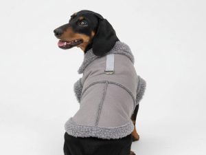 Shearling Dog Jacket – Warm and Stylish Winter Outerwear