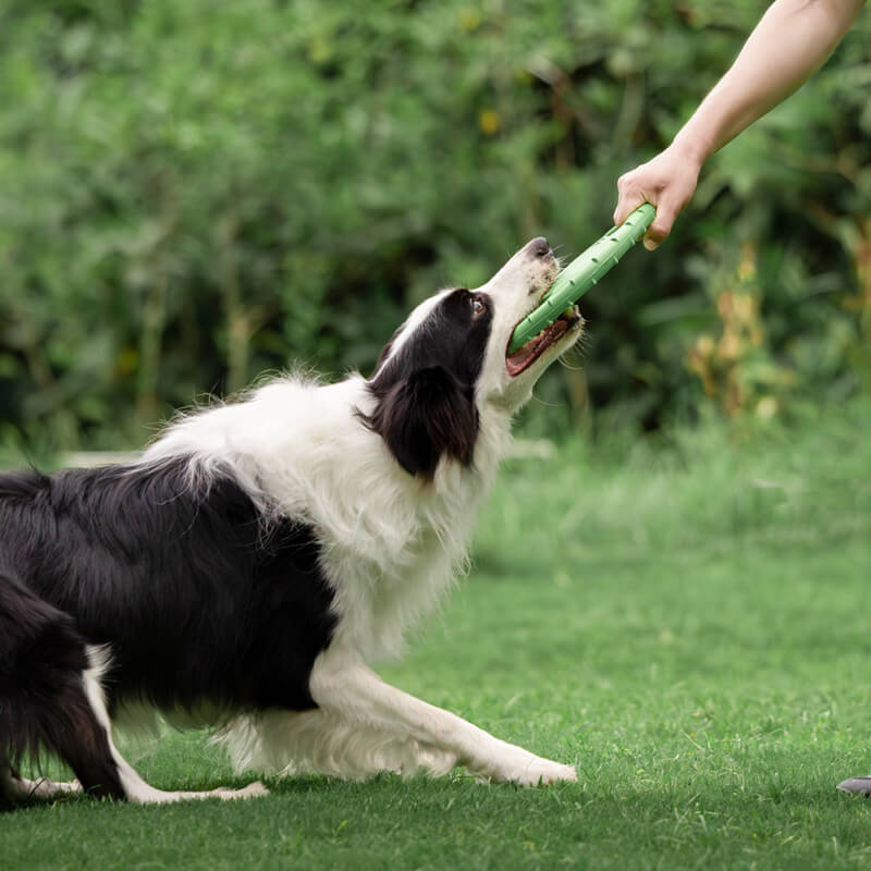 Steering Wheel Rubber Throw Toy Interactive Dog Flying Disc - Image 2