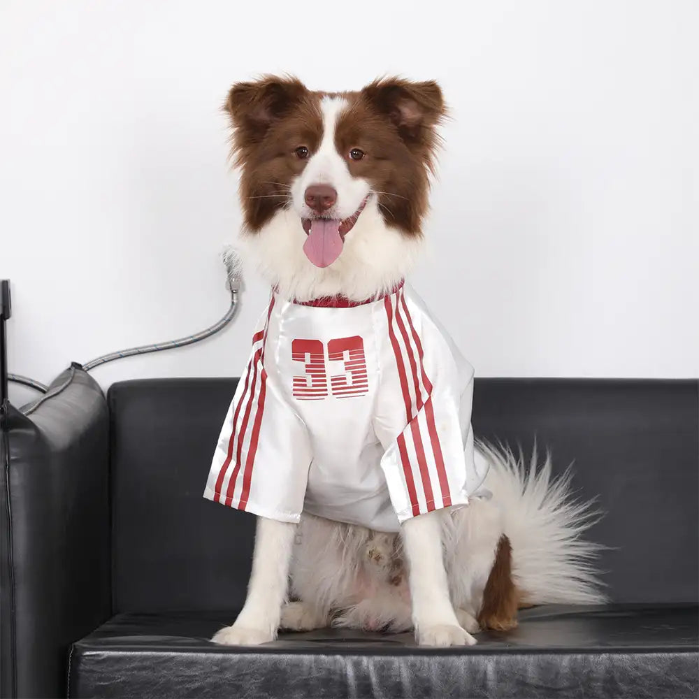 Striped Retro Reflective Dog T-Shirt for All Breeds - Image 4