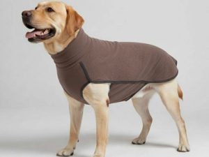 Windproof and Water-Resistant Dog Coat - Ideal for Large Dogs