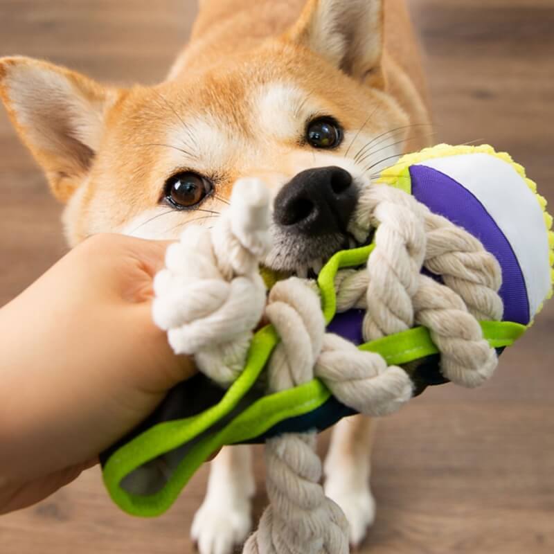 Cotton Rope Slipper Toy Dog Teething Toy - Image 2