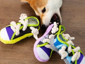 Cotton Rope Slipper Toy Dog Teething Toy