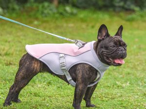 funnyfuzzyDogCoolingVest-_11.jpg