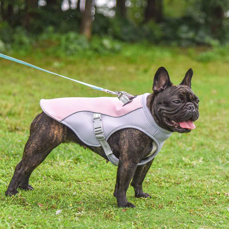 Breathable Vest For Sunstroke Prevention Water-soakable Dog Cooling Vest - Image 2