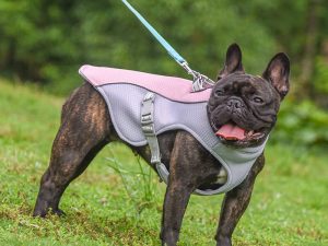 Breathable Vest For Sunstroke Prevention Water-soakable Dog Cooling Vest
