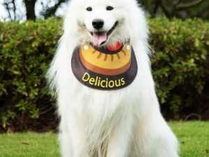 Pet Neckerchief Waterproof Cool Dog Accessories Drool Bib-Sausage