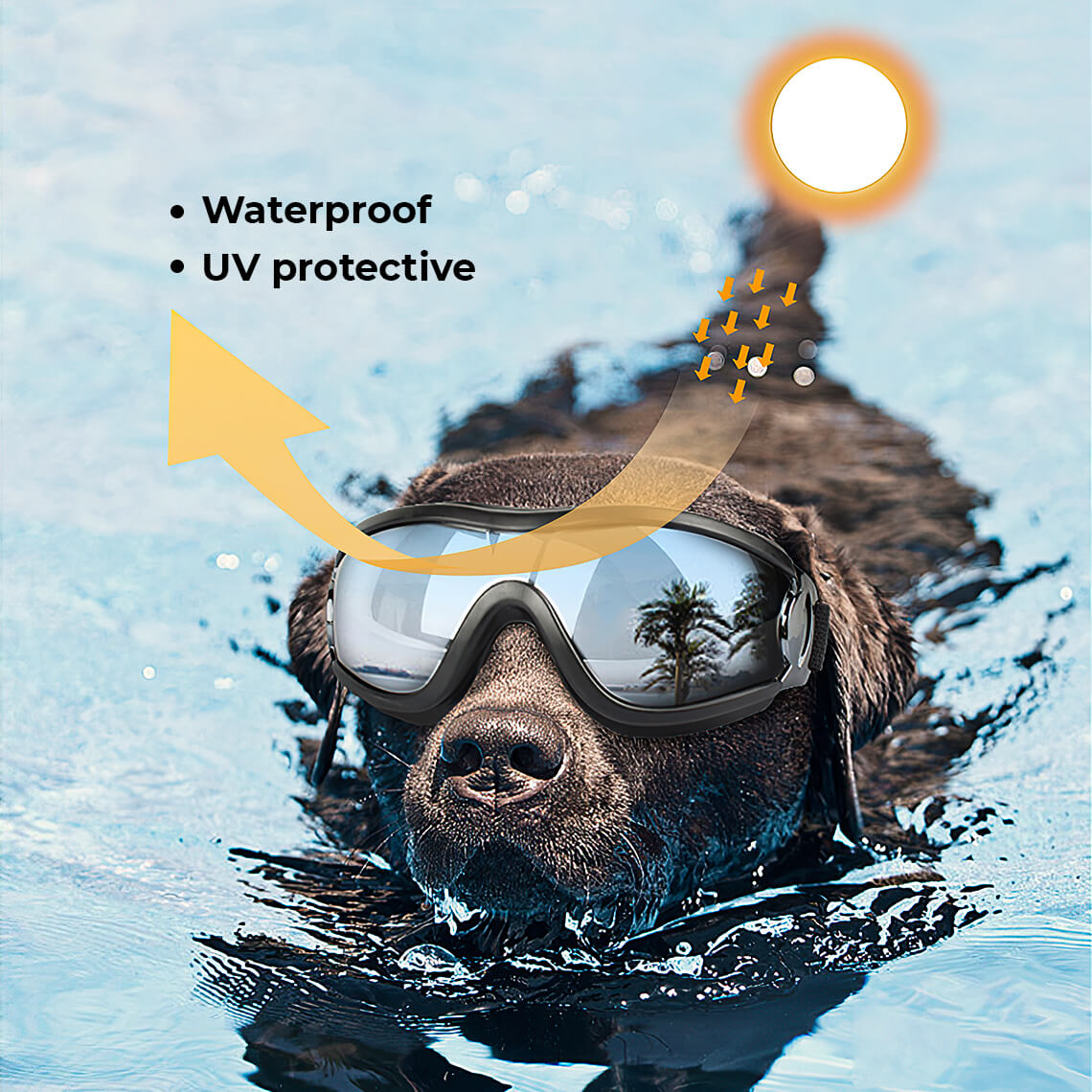 Goggles For Big Cool Dog Accessories - Image 3