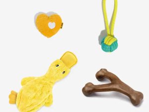 Interactive Cute Dog Chew Toy Set - Playful Fun